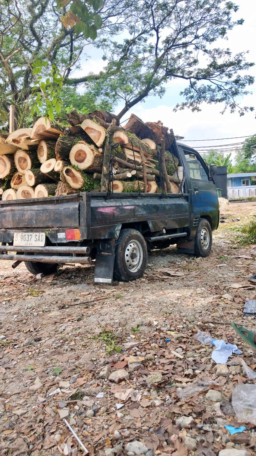 Penanganan Darurat Pohon Tumbang Akibat Badai